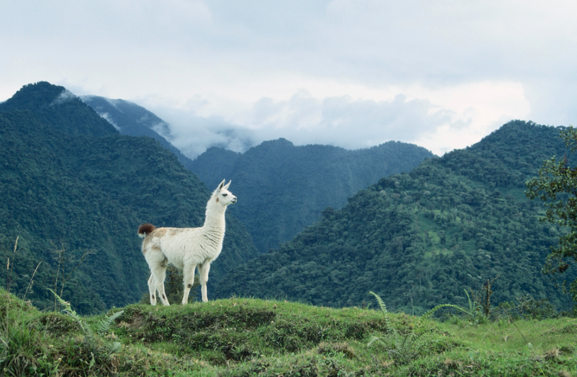 Ecuador, ¿el secreto mejor guardado de Latinoamérica?