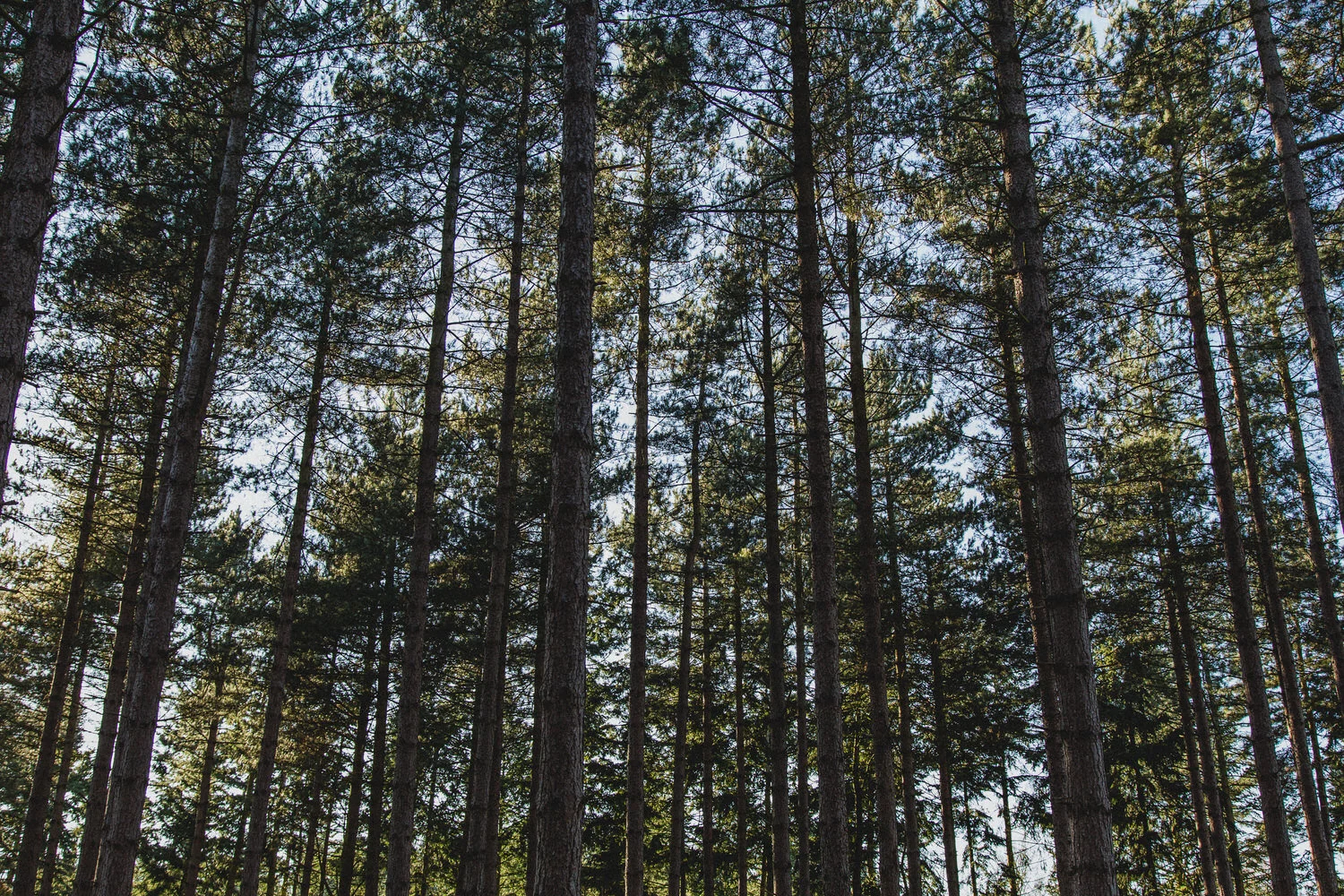 Chicksands-JAF-203.jpg