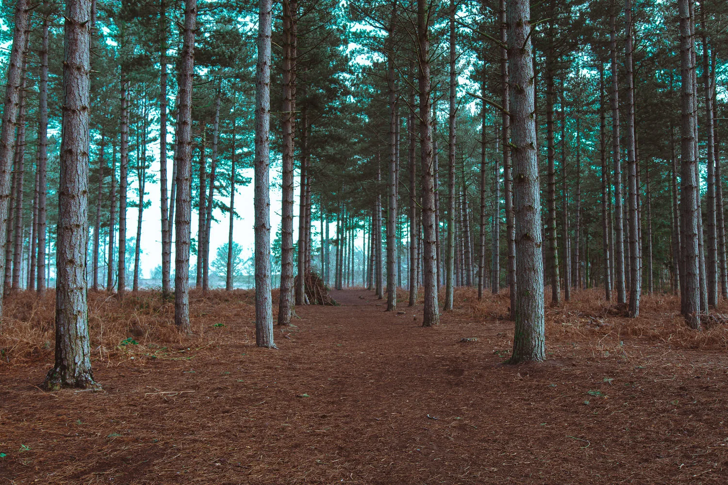 Chicksands-Jaf-0188.jpg