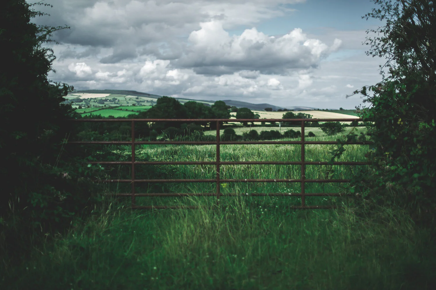 Ireland-JAF-0197.jpg