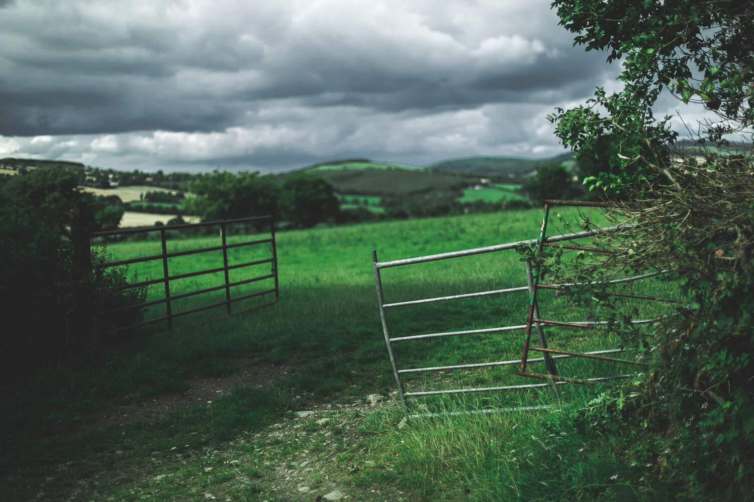 Ireland-JAF-0195.jpg