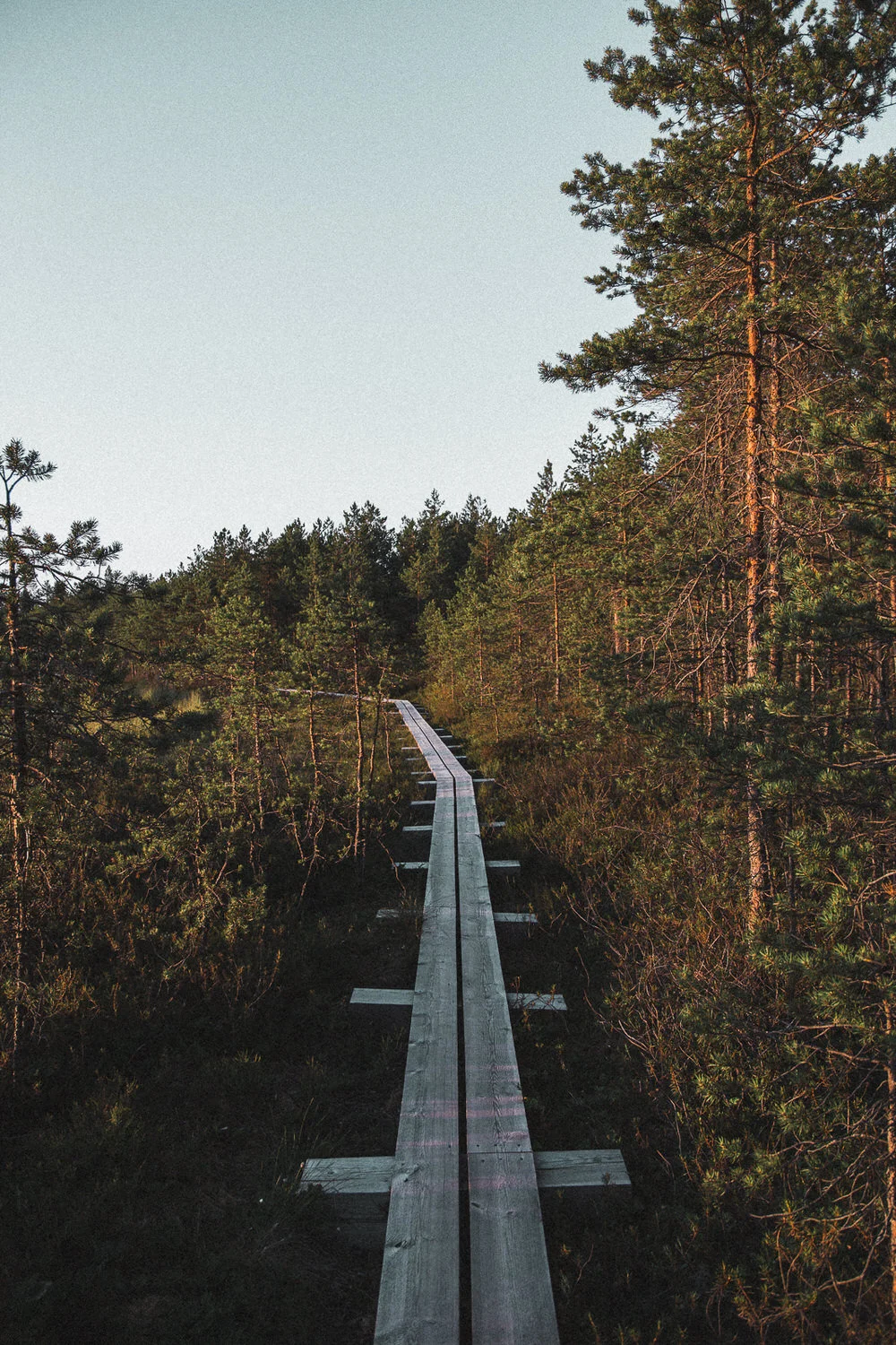 Estonia2018-Jaf-1383.jpg
