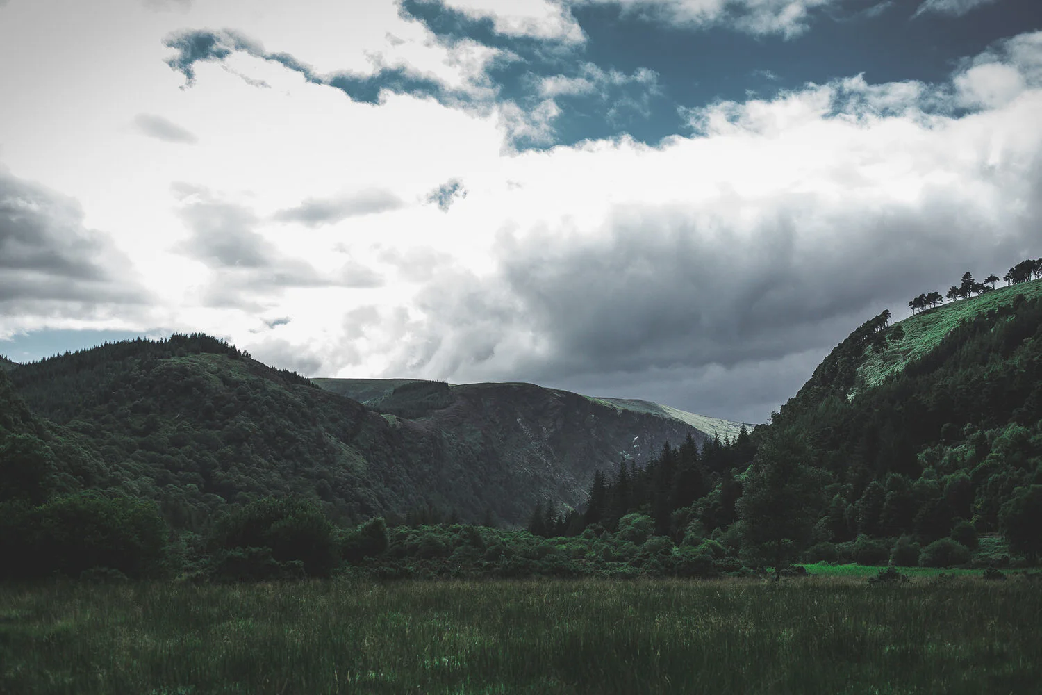 Ireland-JAF-0569-2.jpg
