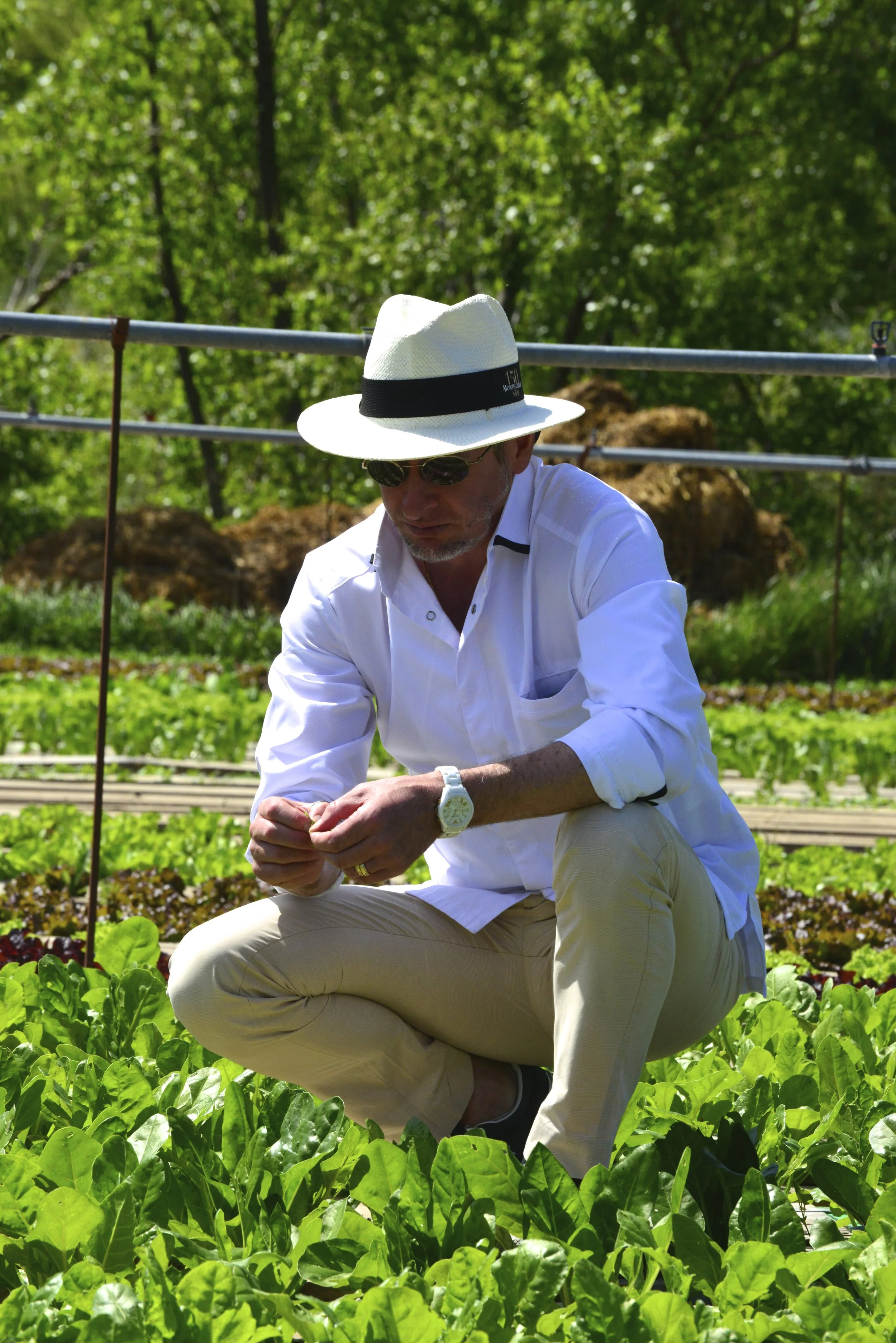 Cultiver son jardin pour mieux comprendre la Nature @TheBioChef