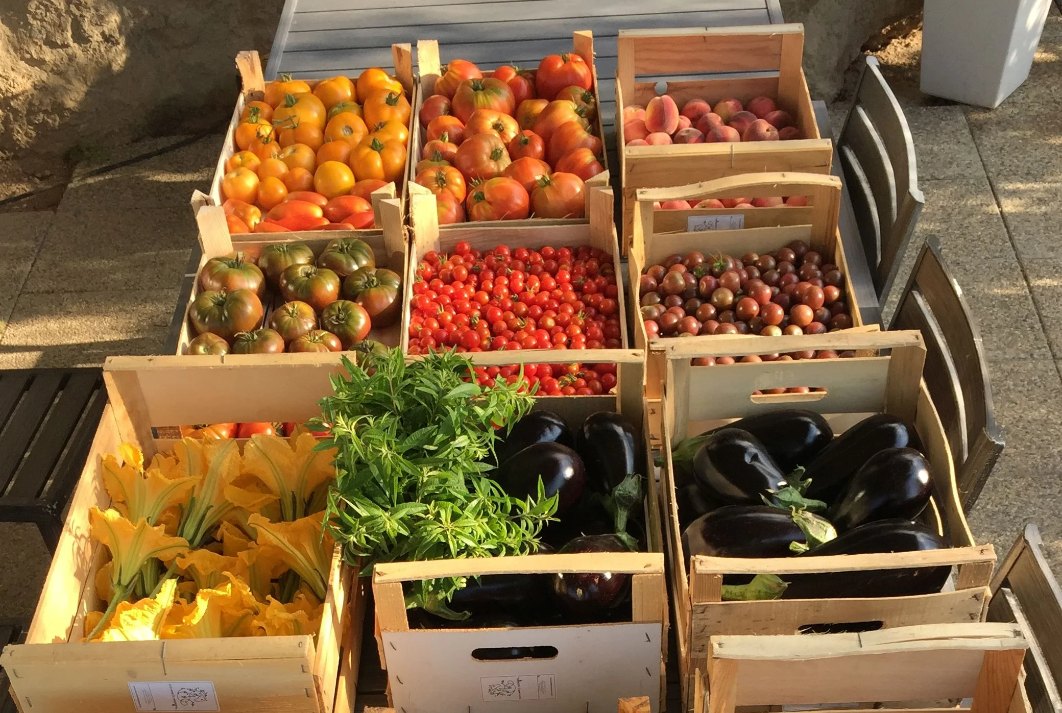 Les tomates du Jardin du BioChef