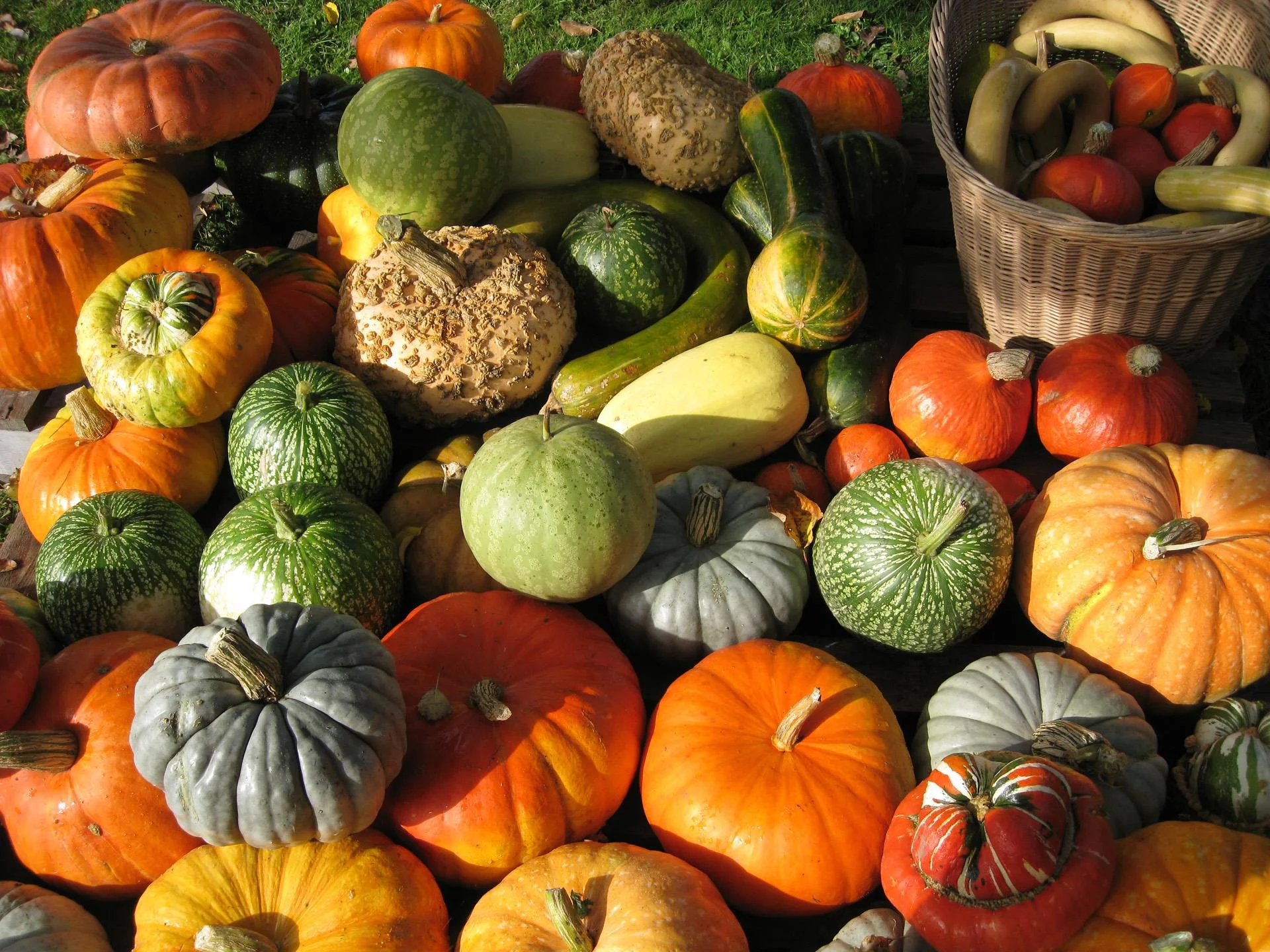 Vegetables stuff.jpg