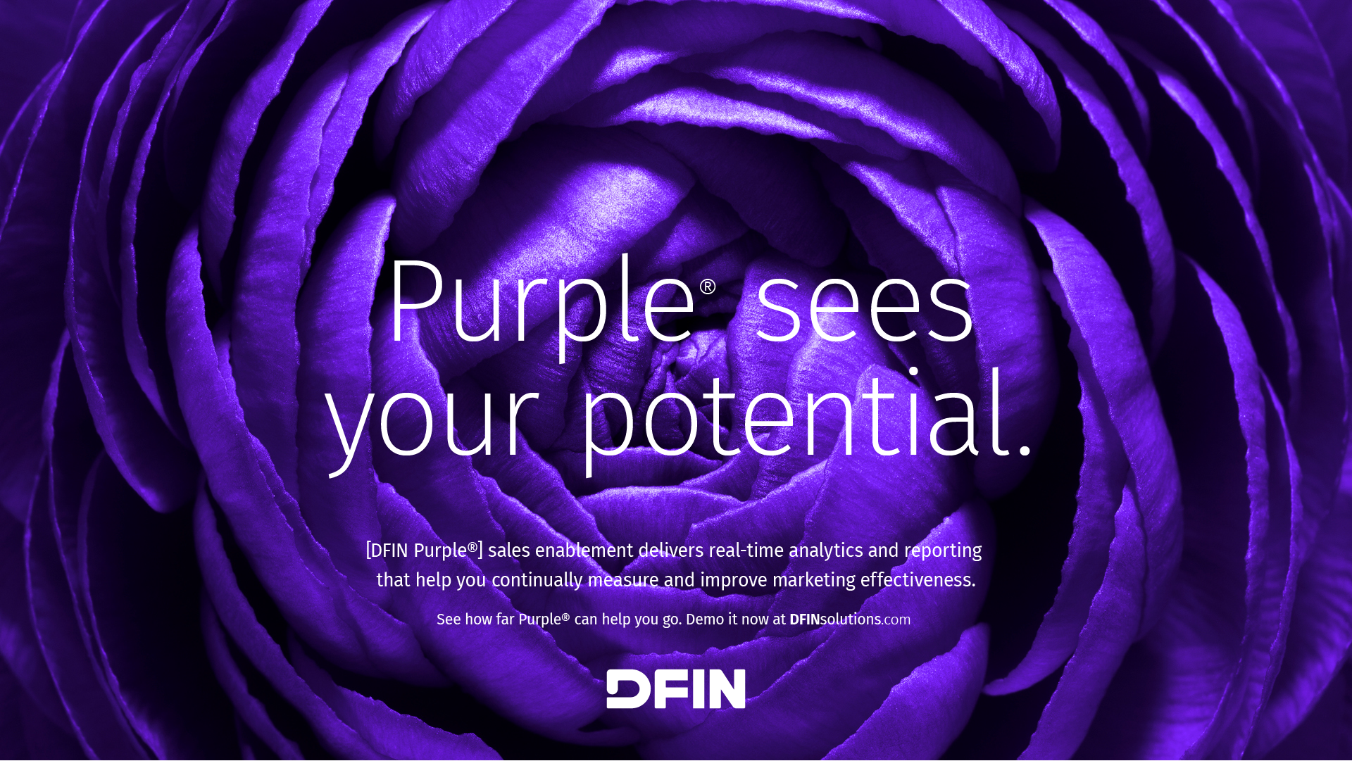 DFIN_D&E_Purple_concept_v2-05.png