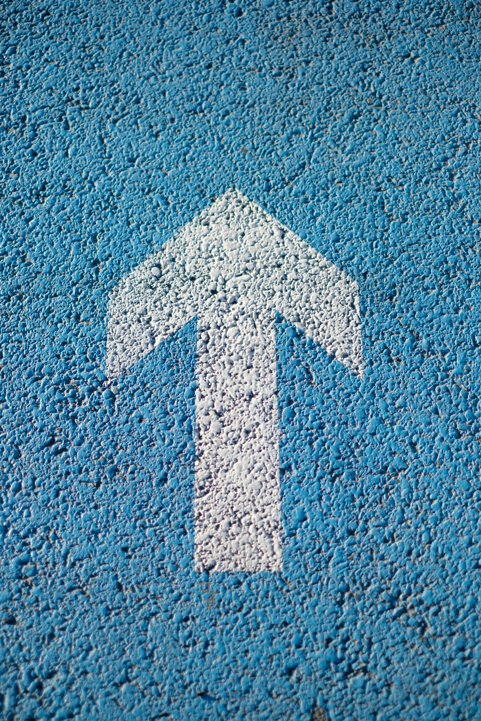 Matching Ambition & Vehicle: The Key to Organizational Growth