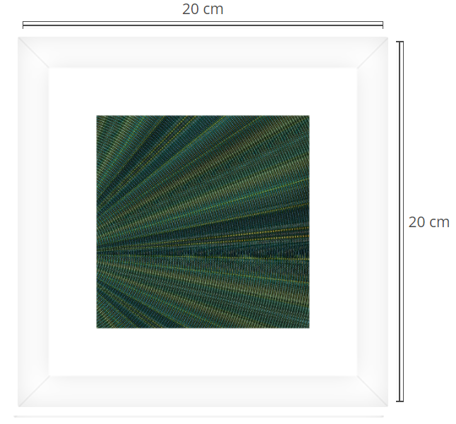 frame print 47.5.png