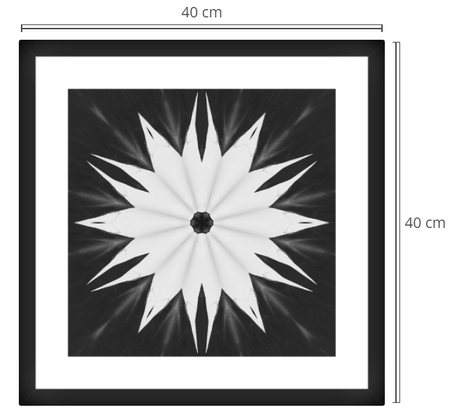 frame print 45.png