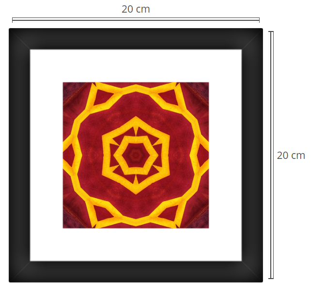 frame print 16.5.png