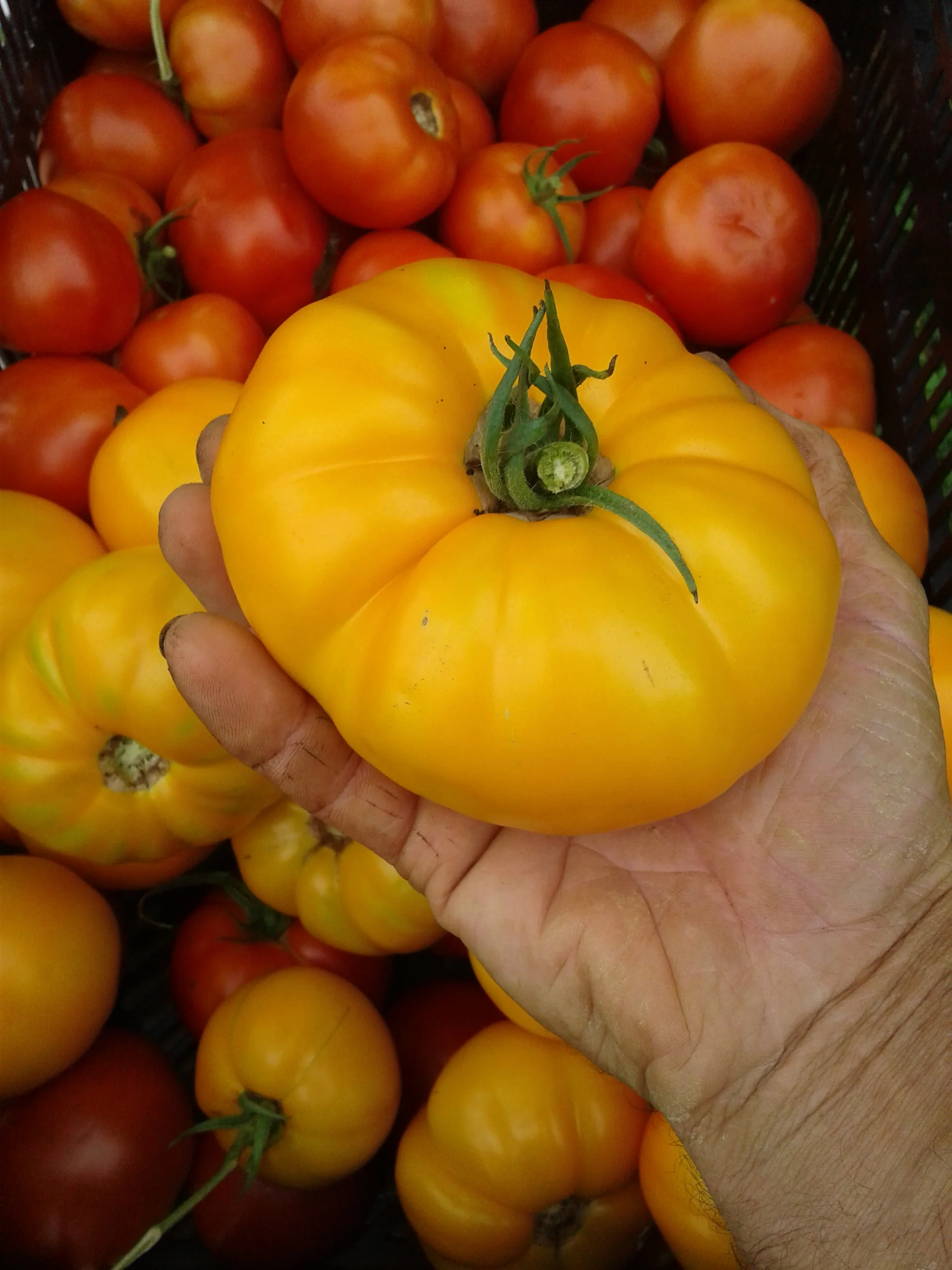 20180820_102214.jpg