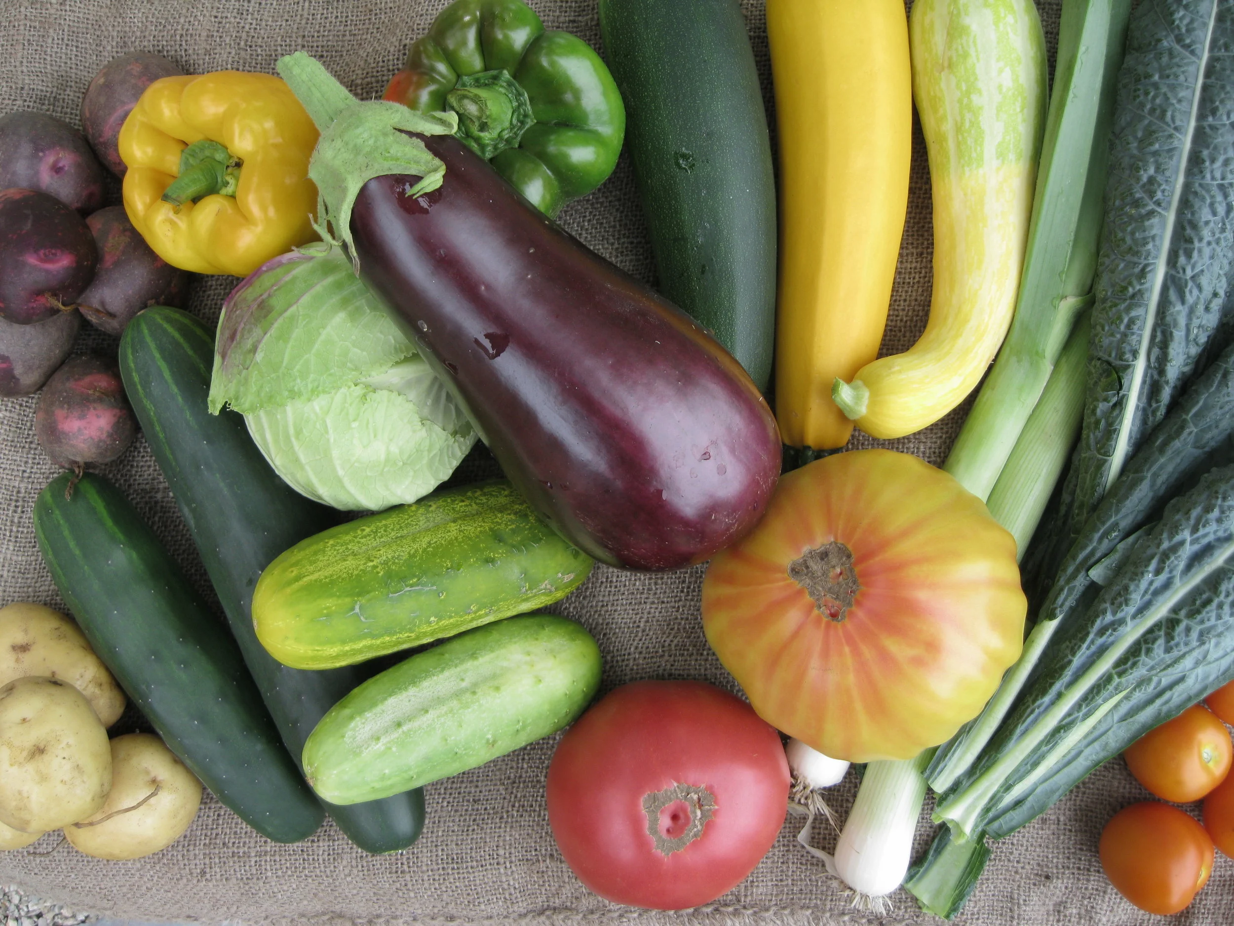 Summer - Fall CSA (June - November)