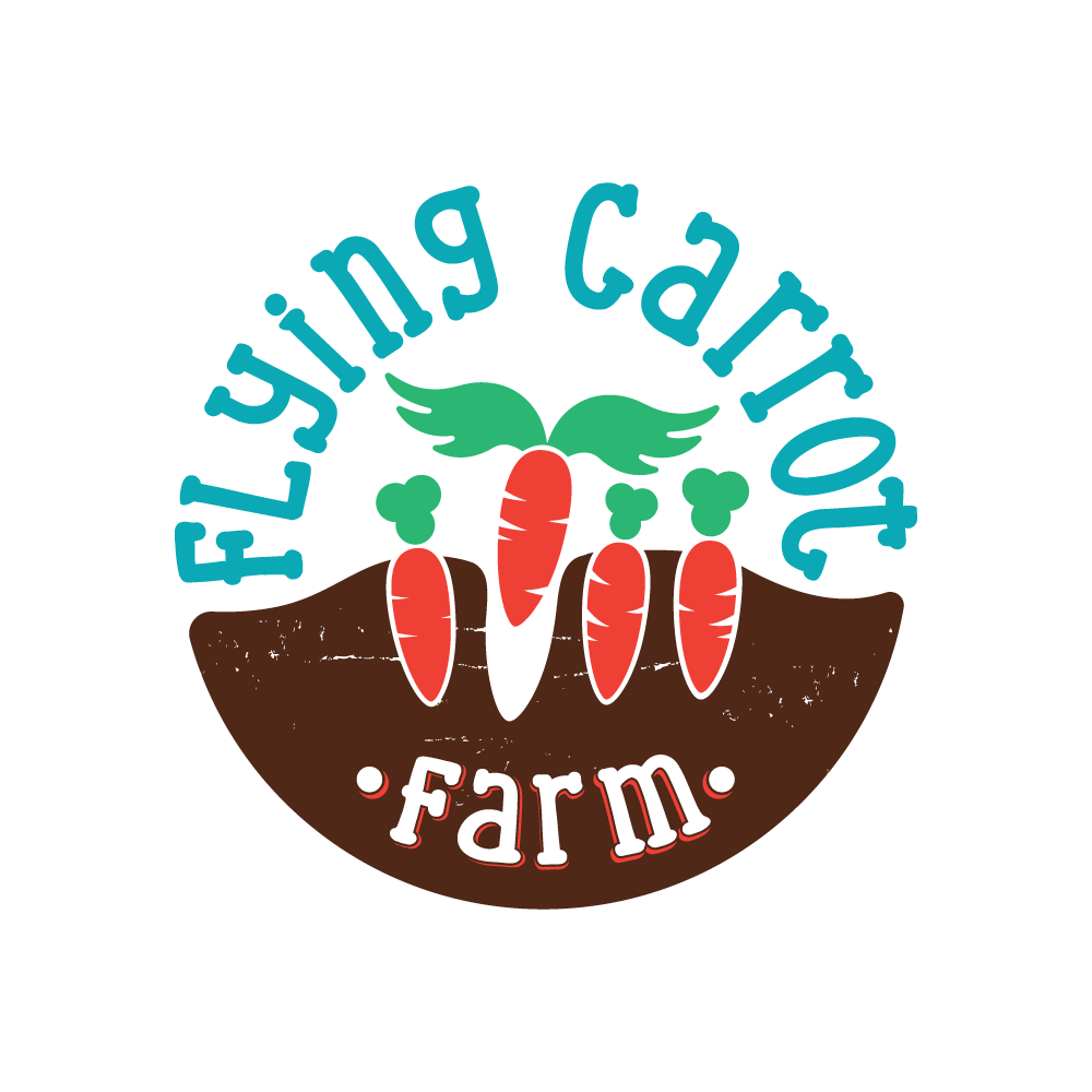 Fl-CAR-logo-XL-color.png
