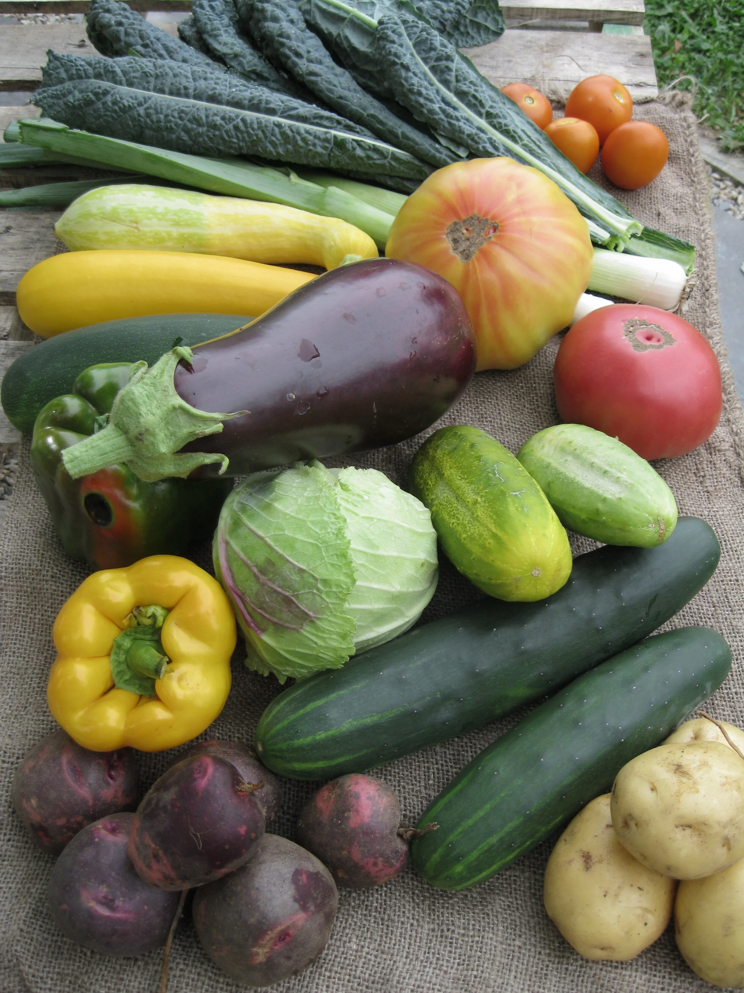 Summer Season CSA (June - September)
