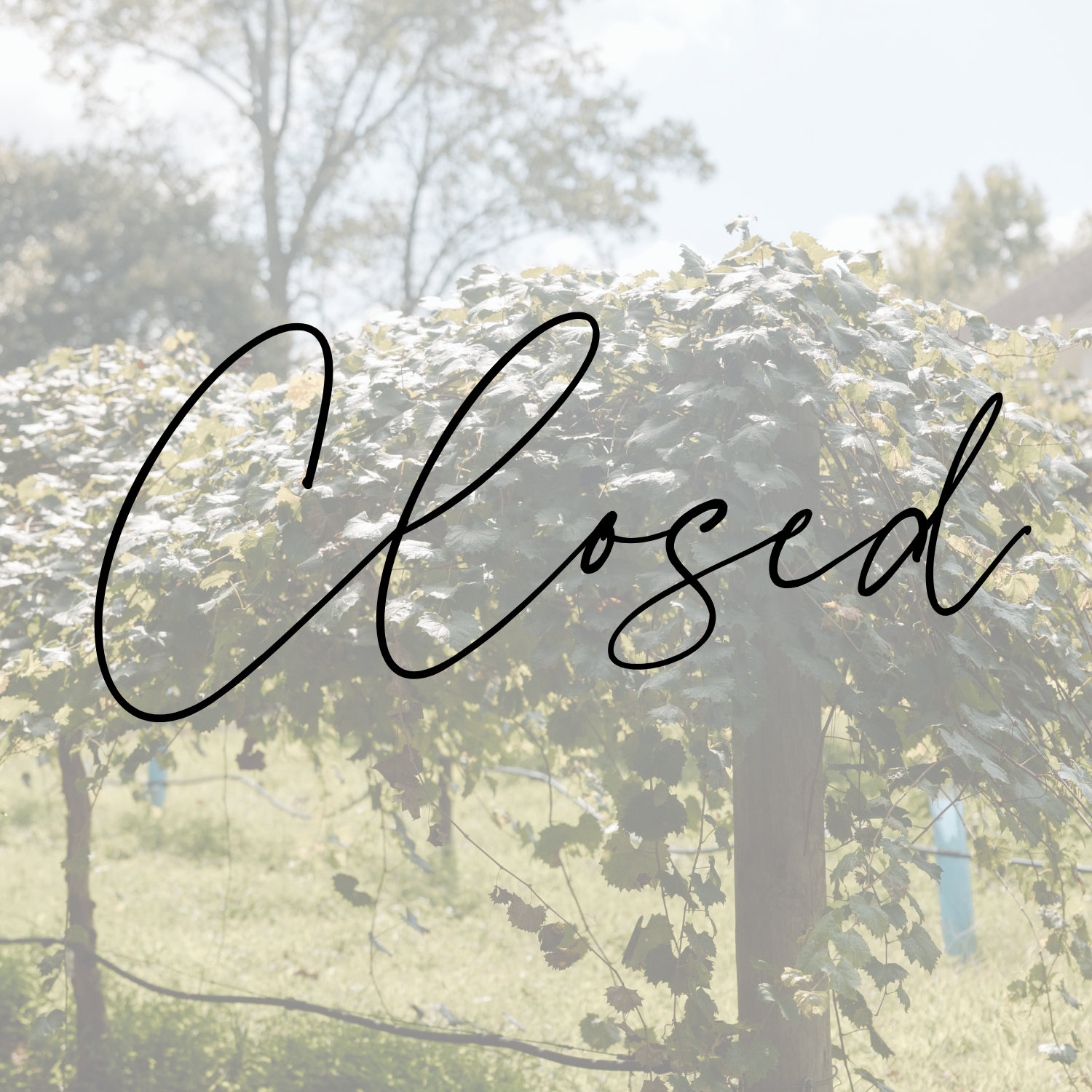 CLOSED