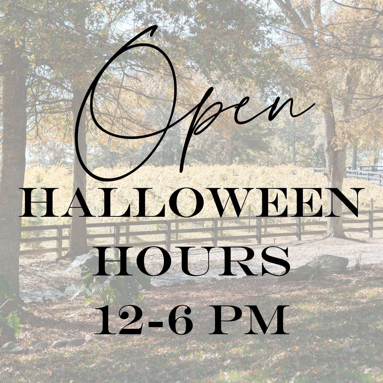 Halloween Hours
