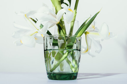 White Iris Flowers on Table in Green Vase on Plain Light Backgro.jpg