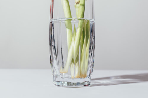 Tips of Flower Stems in Glass Vase.jpg