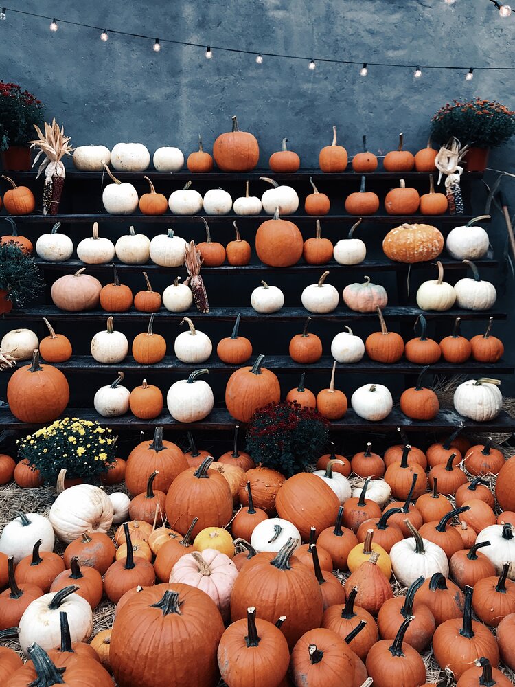 oct 2 1.jpg