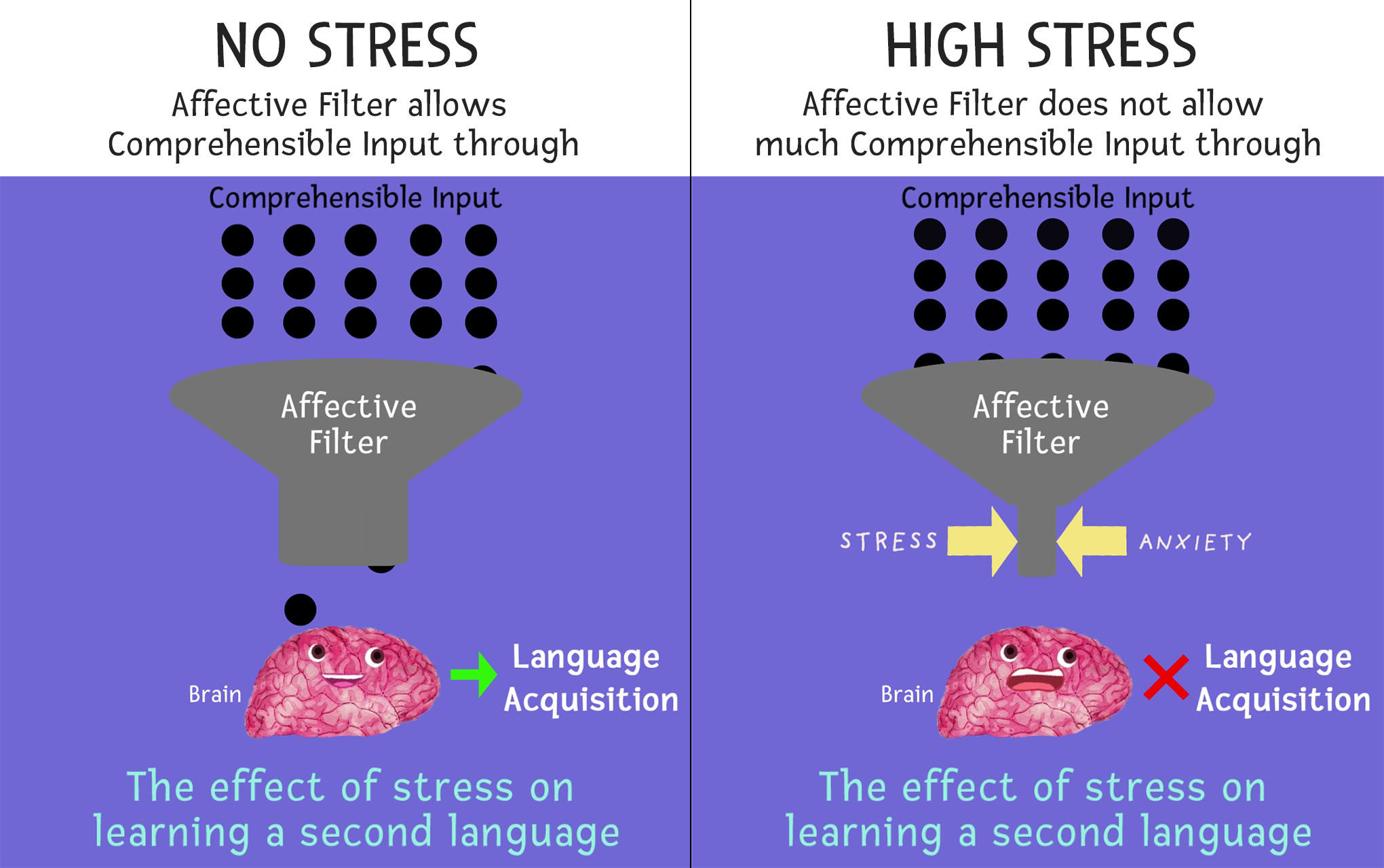 affective filter hypothesis