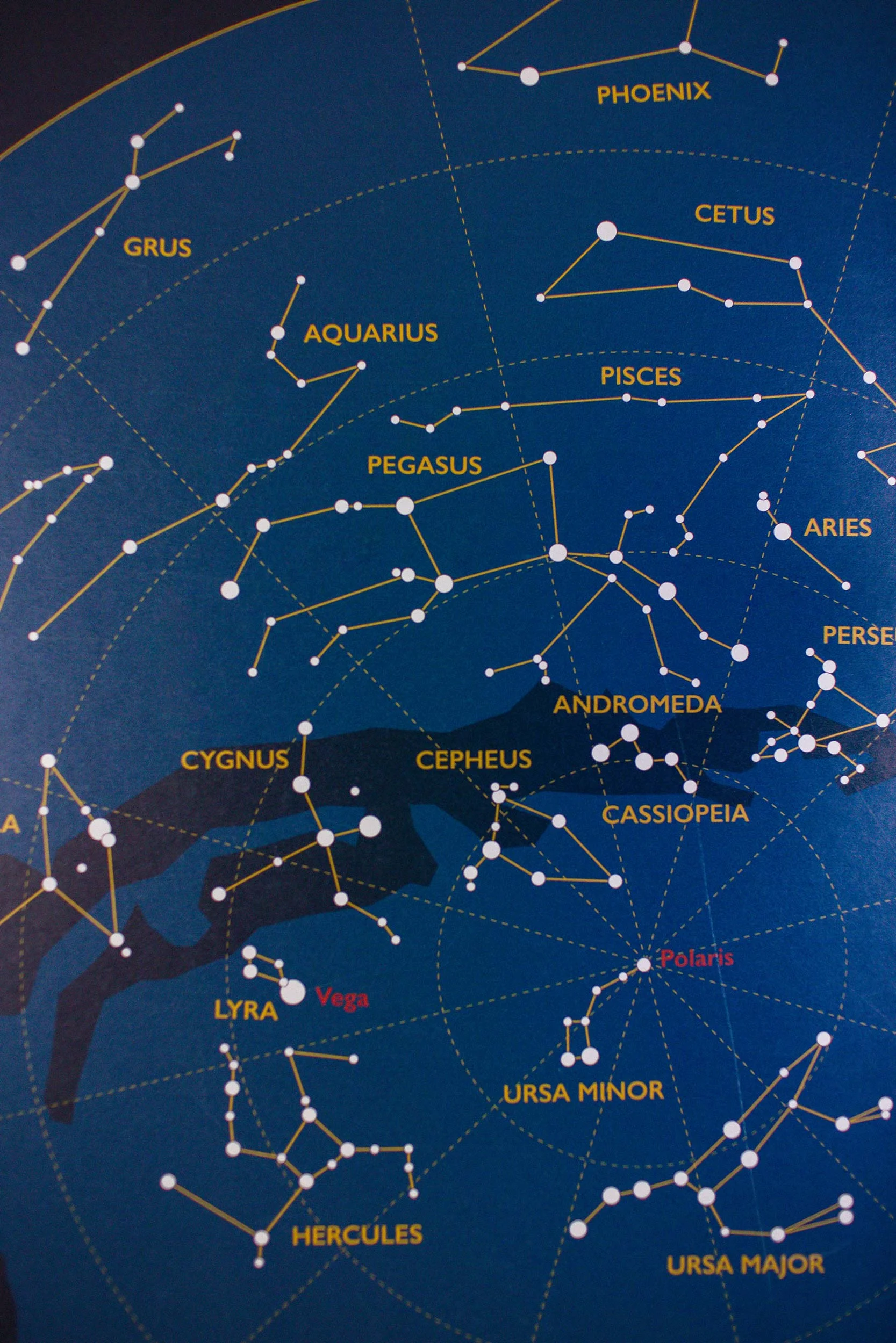Origami-Fox-in-the-stars-table-plan-detail.jpg