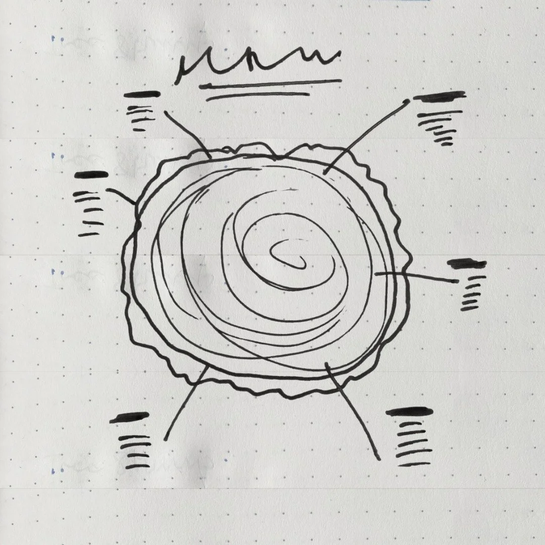 The Sketch