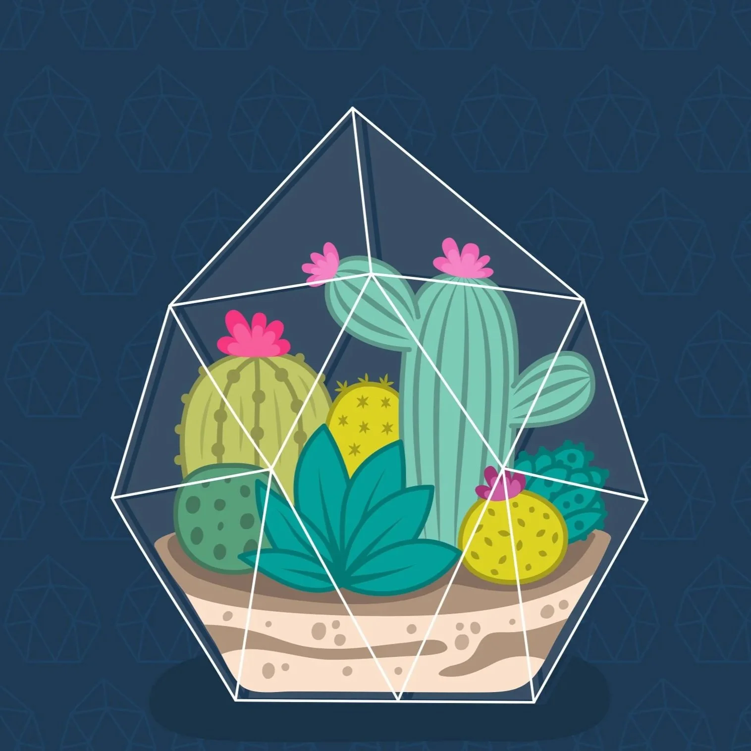 Profile: Succulents and Terrariums