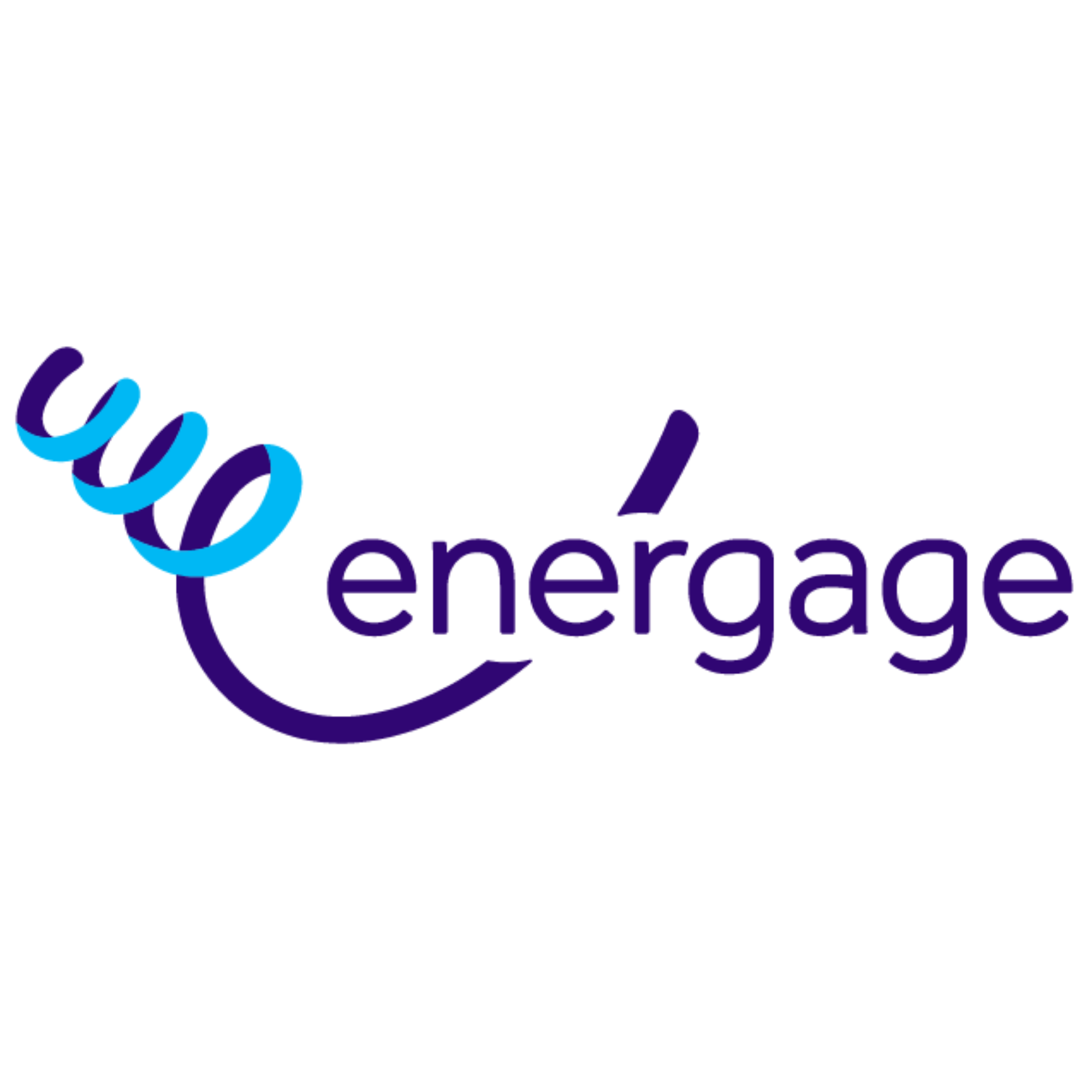 Energage
