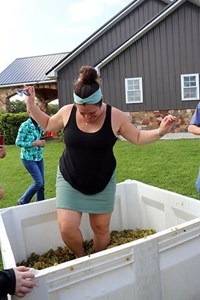 GrapeStomping_IMG_4483.jpg