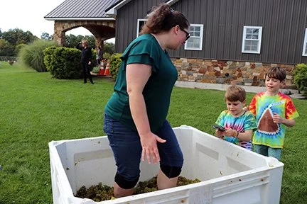 GrapeStomping_IMG_4547.jpg