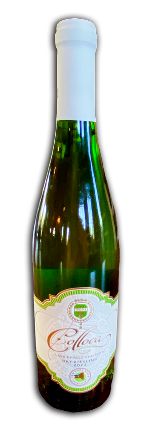 CollocaLakeEffectDry-Riesling_2023_Bottle.webp
