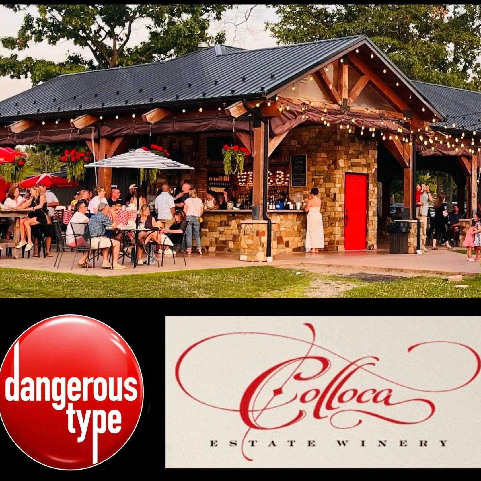 Saturday Night Live Music with Dangerous Type
