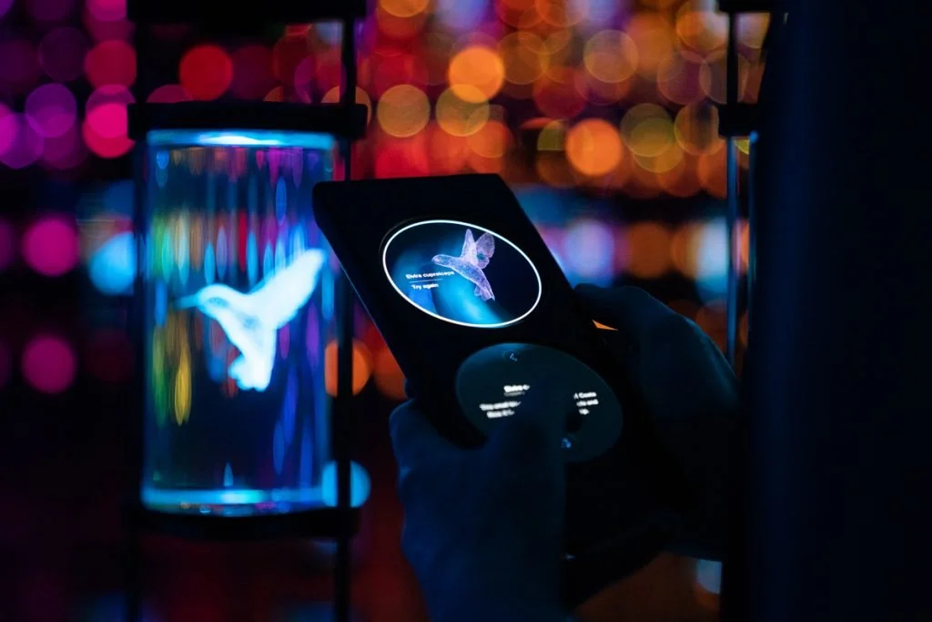  A visitor interacts with The Vault of Life. Image © Sandra Ciampone 2022 All Rights Reserved. 