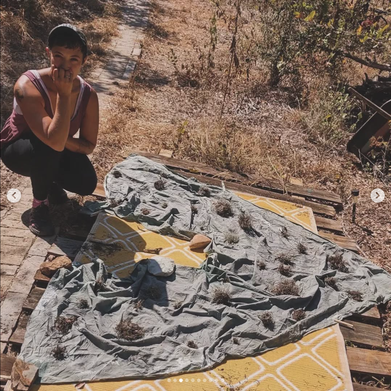 Screen Shot 2025-12-03 at 2.38.41 PM.png