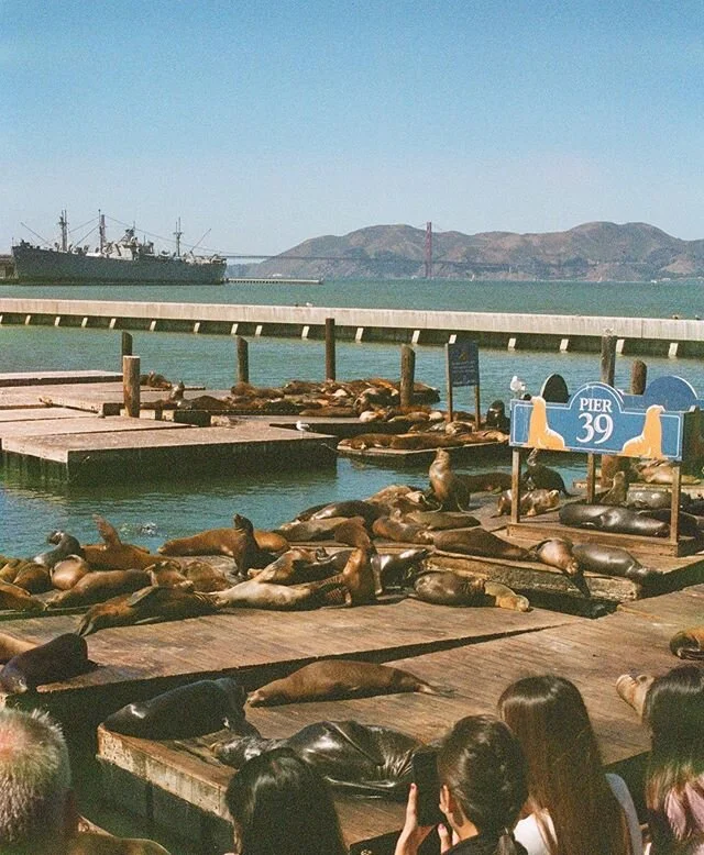 Miss chilling out with the velvet bois #35mm