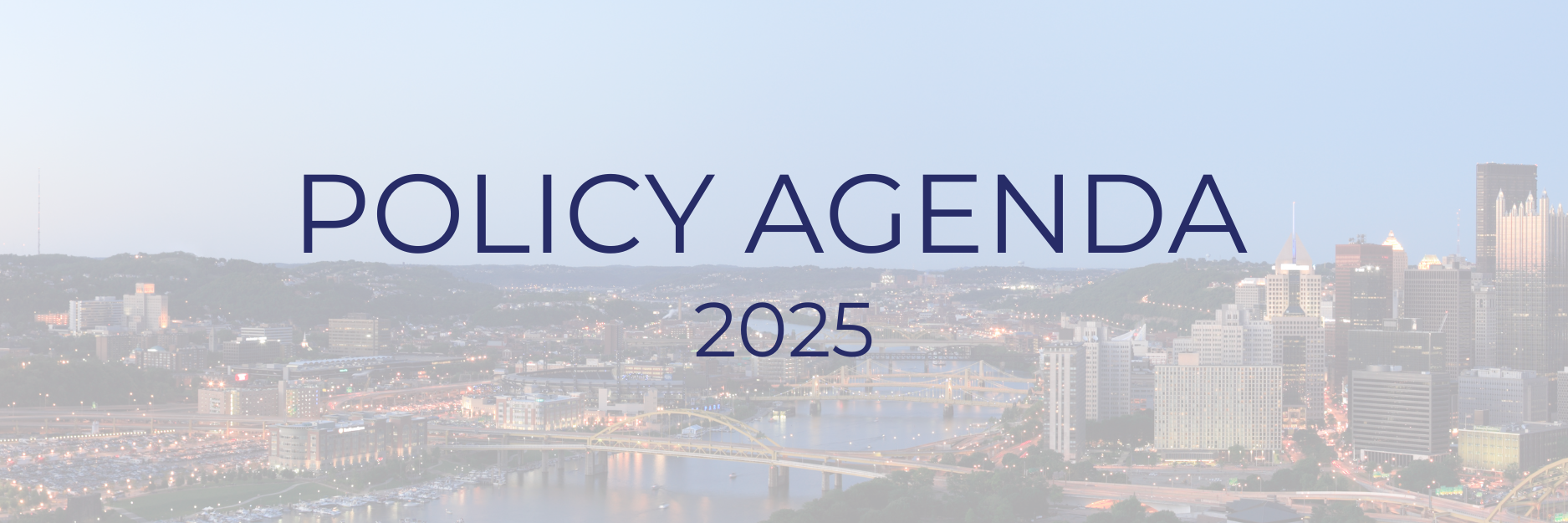 Policy Agenda 2025.png