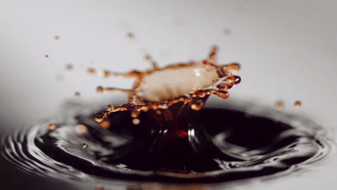 GIF_GOTA_1.gif