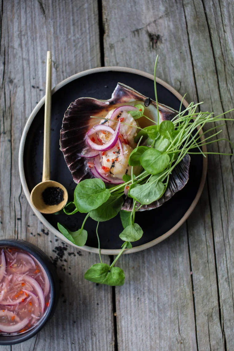 KAMSKJELL I TIGERMELK