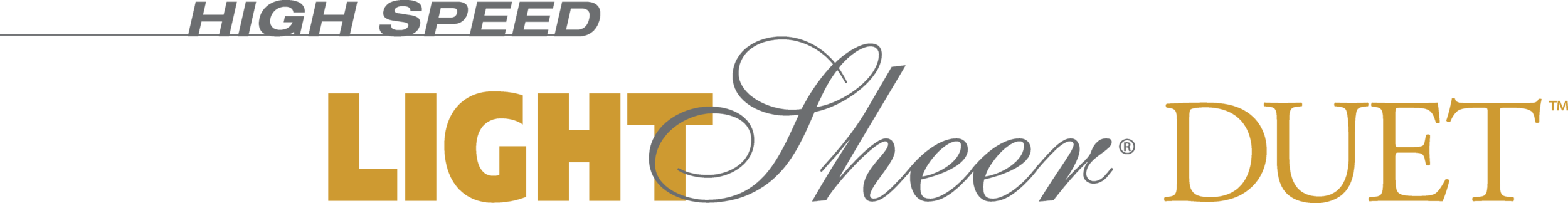 logo_LghtShrDUET_1.png