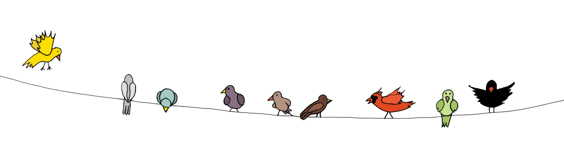 bird-banner.jpg
