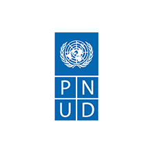 logo_pnud.png