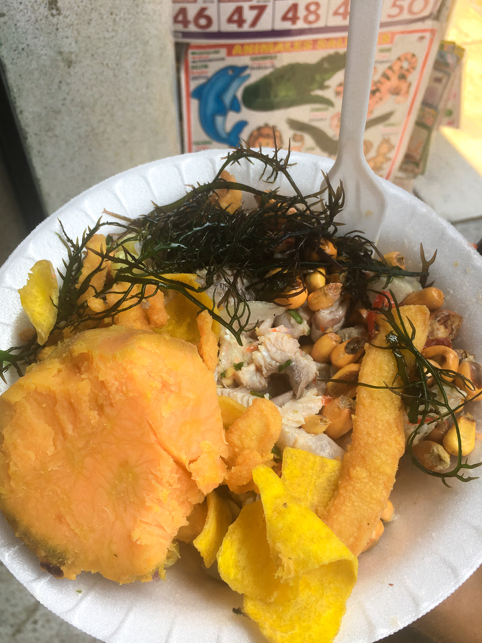  Fresh ceviche from a street stall in Lima, Peru.  