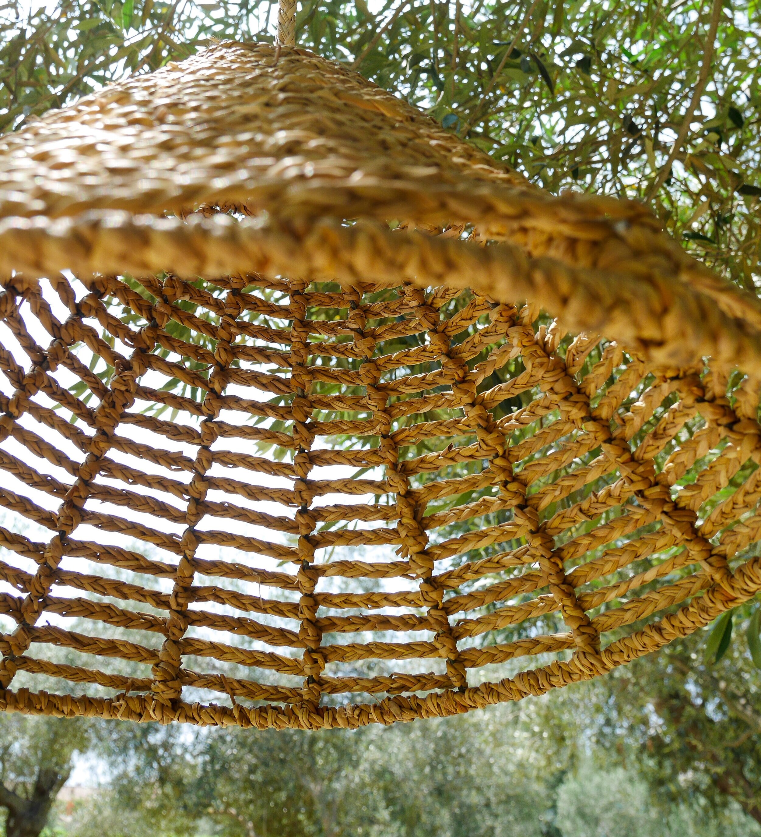 P1050246.jpg