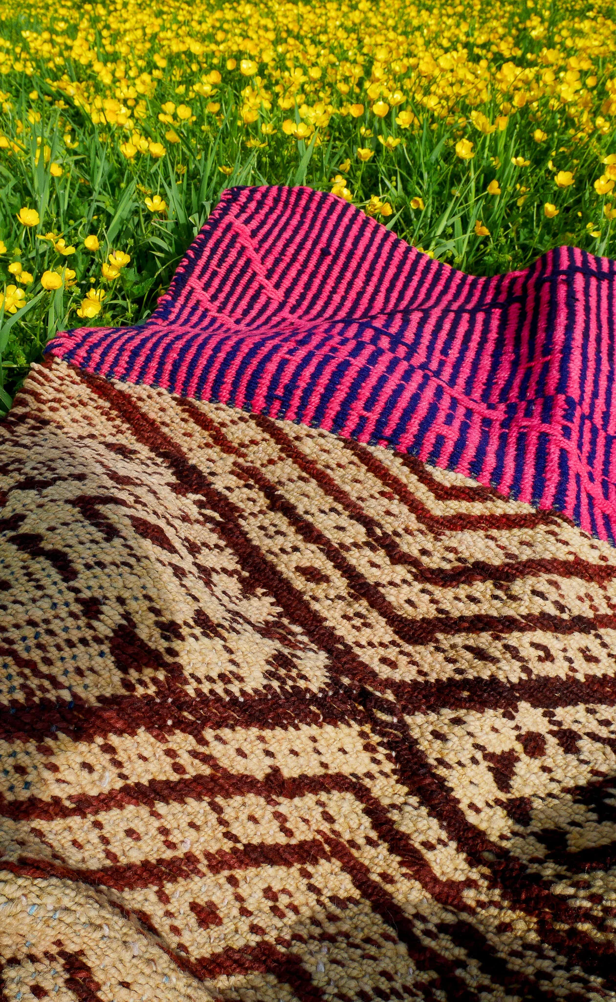Luxury Wool Rugs Ana 5