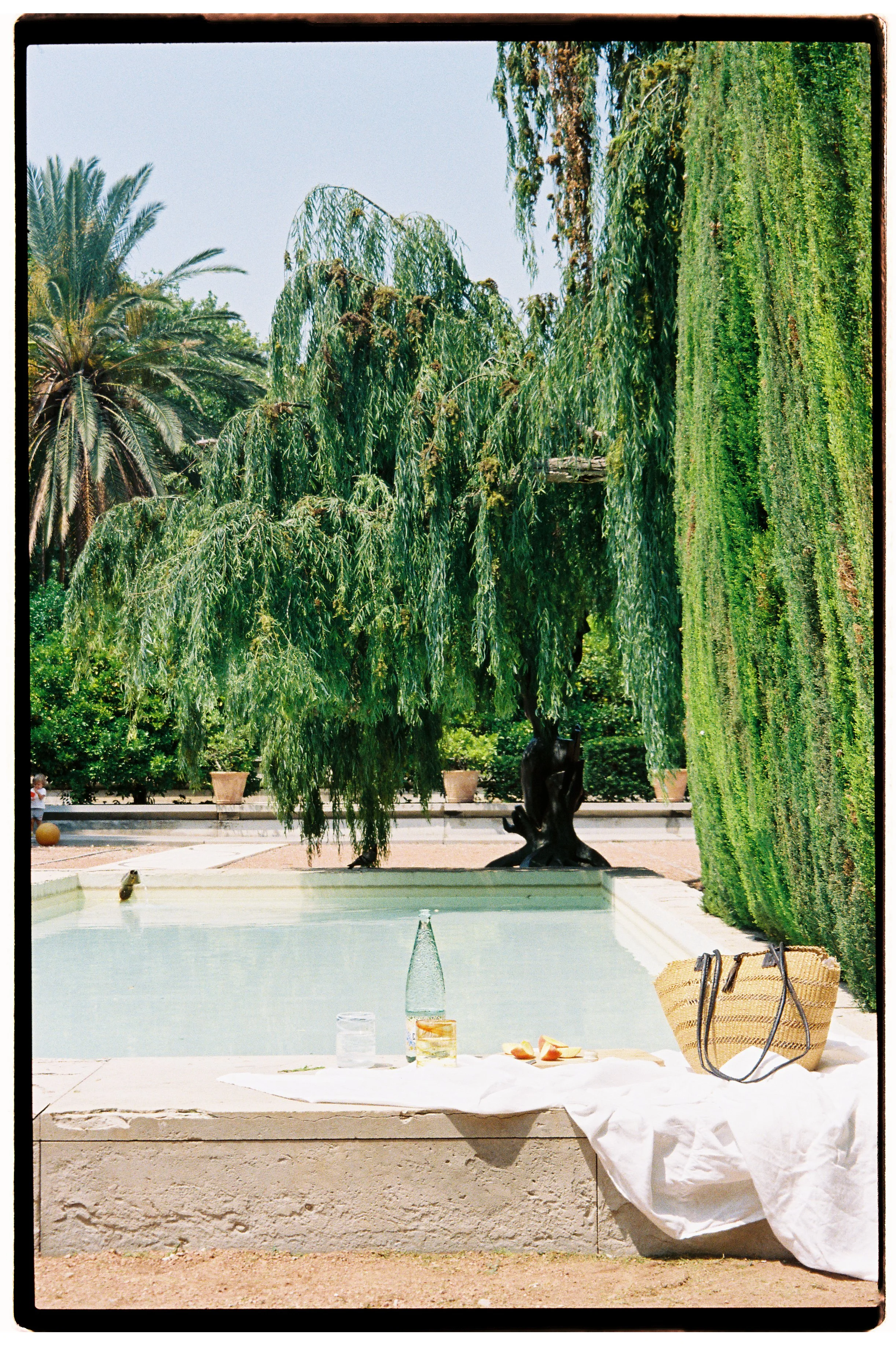 A tranquil outdoor scene featuring a rectangular pool with a white cloth draped over the edge, a glass bottle, a jar, and a basket on the cloth. Tall green trees and a lush, green wall of plants surround the pool, with benches and potted plants visib