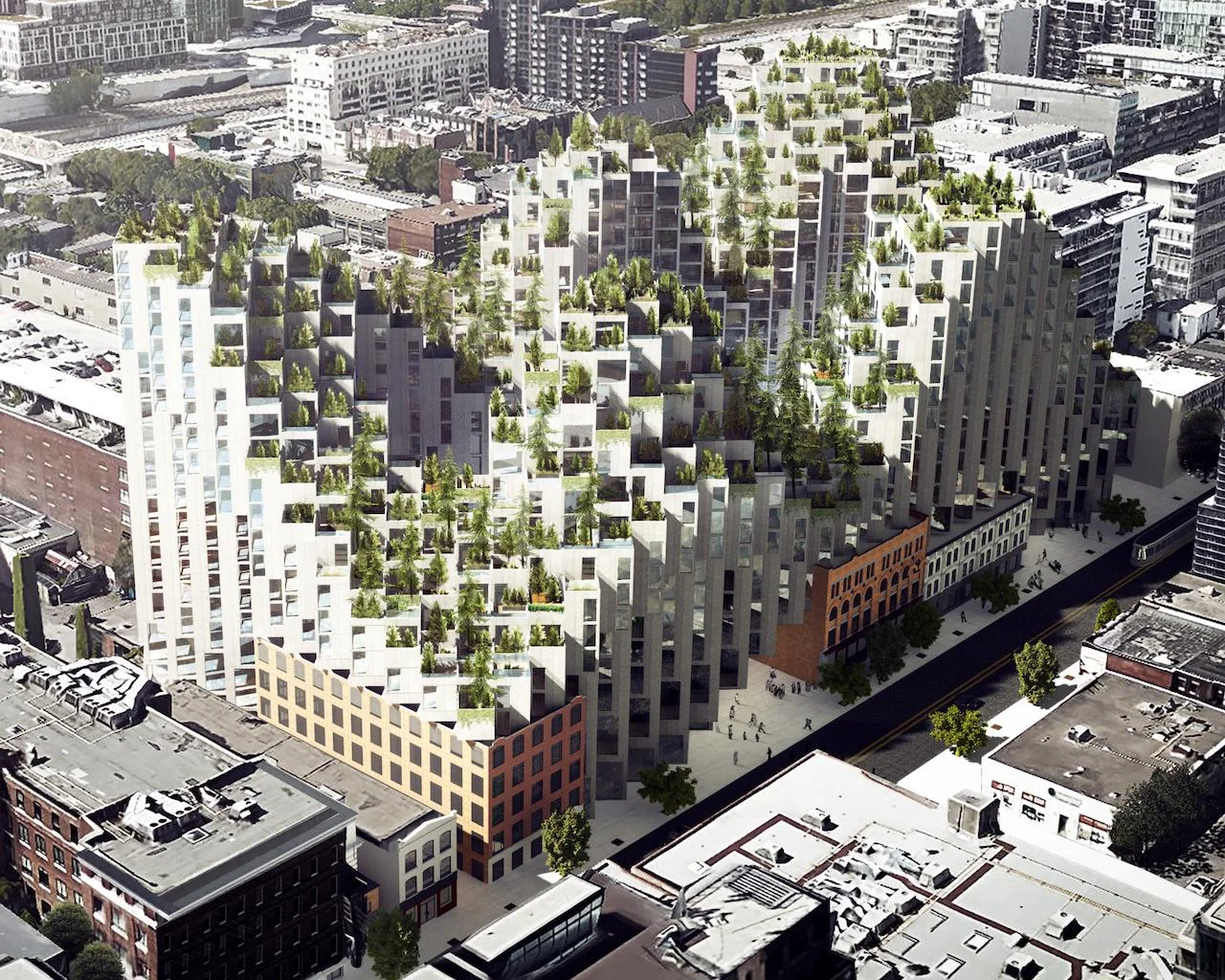 The King Development