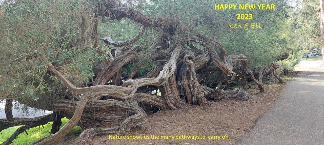 Happy New Year 2023