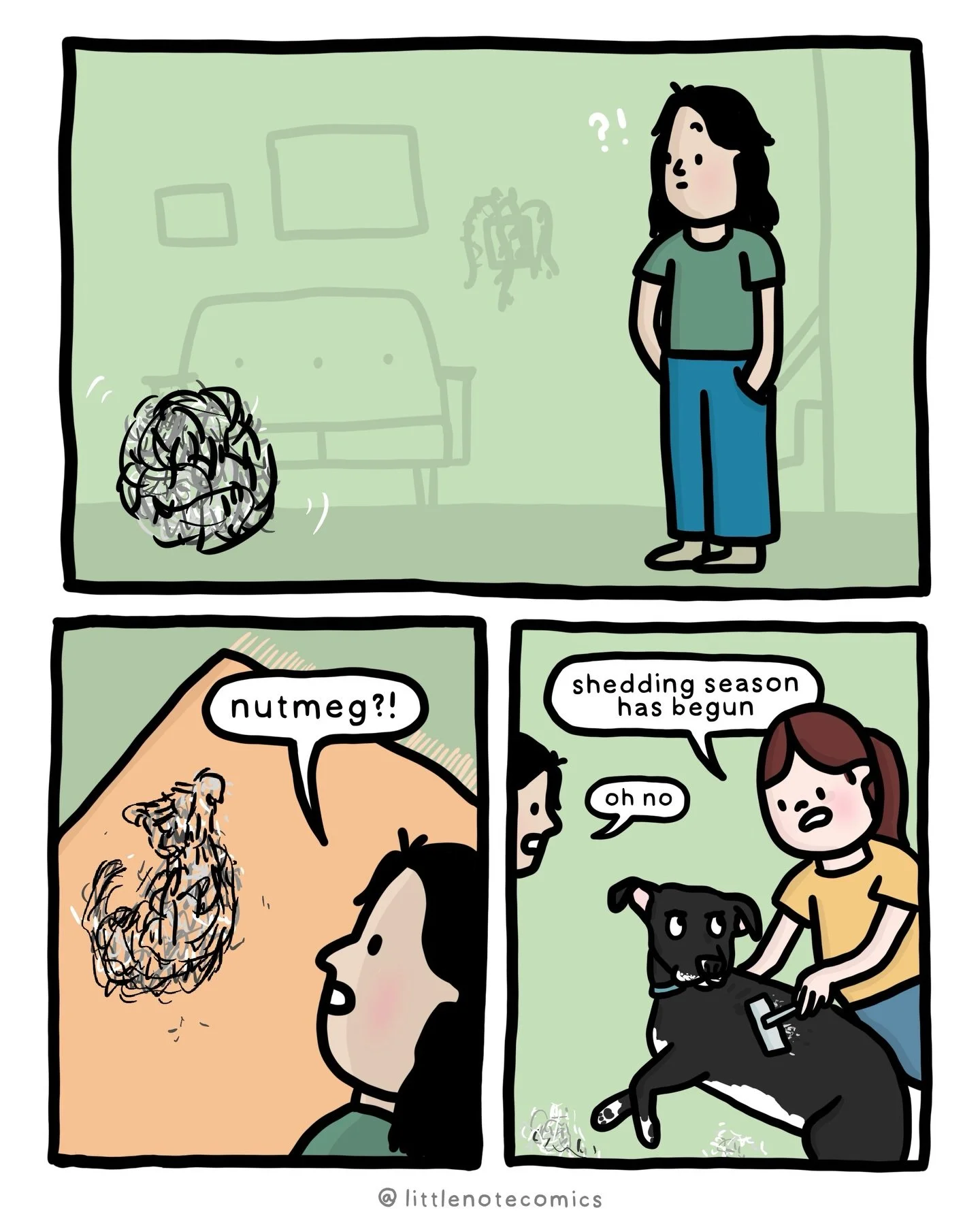We are deep in shedding season! Second pic of Nutmeg being brushed - she will eventually go on her back and show us her belly to get us to stop! #comic #dog