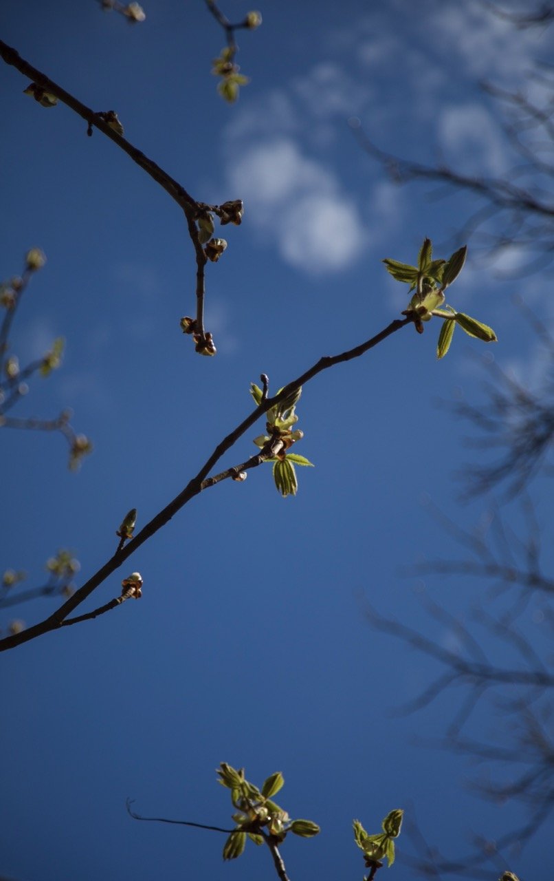 _09A0040 Grande.jpeg